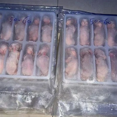 Conills congelats per a rèptils
