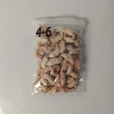 Rates congelades per a rèptils