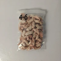 Petita rata blanca